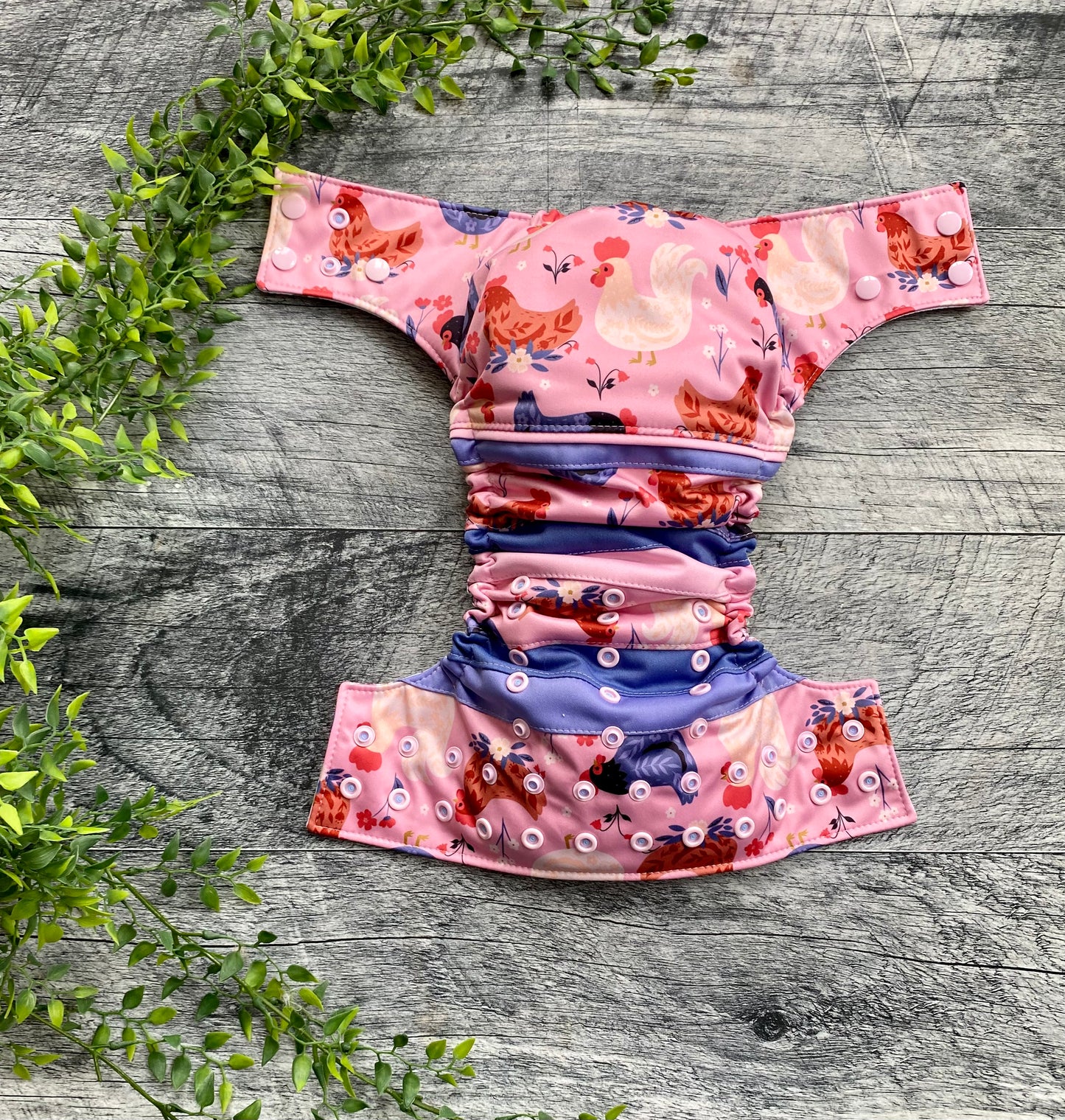 Poule rose scrapy