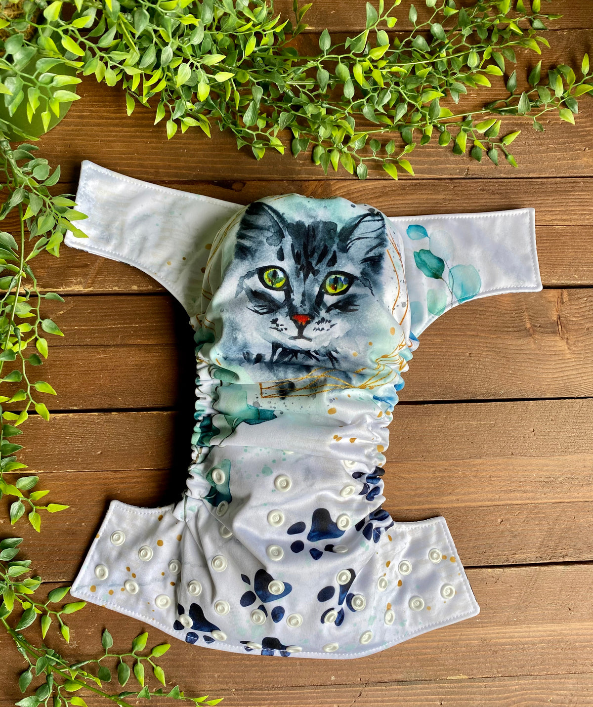Paradis des chats PAC