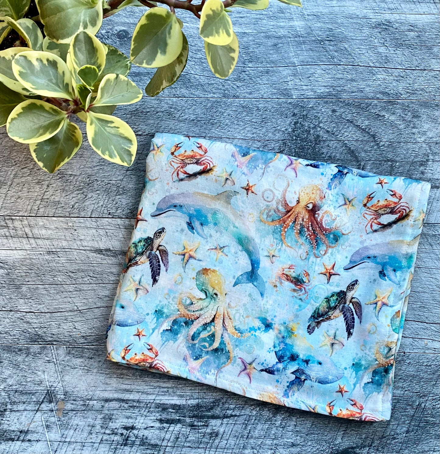 Animaux marins