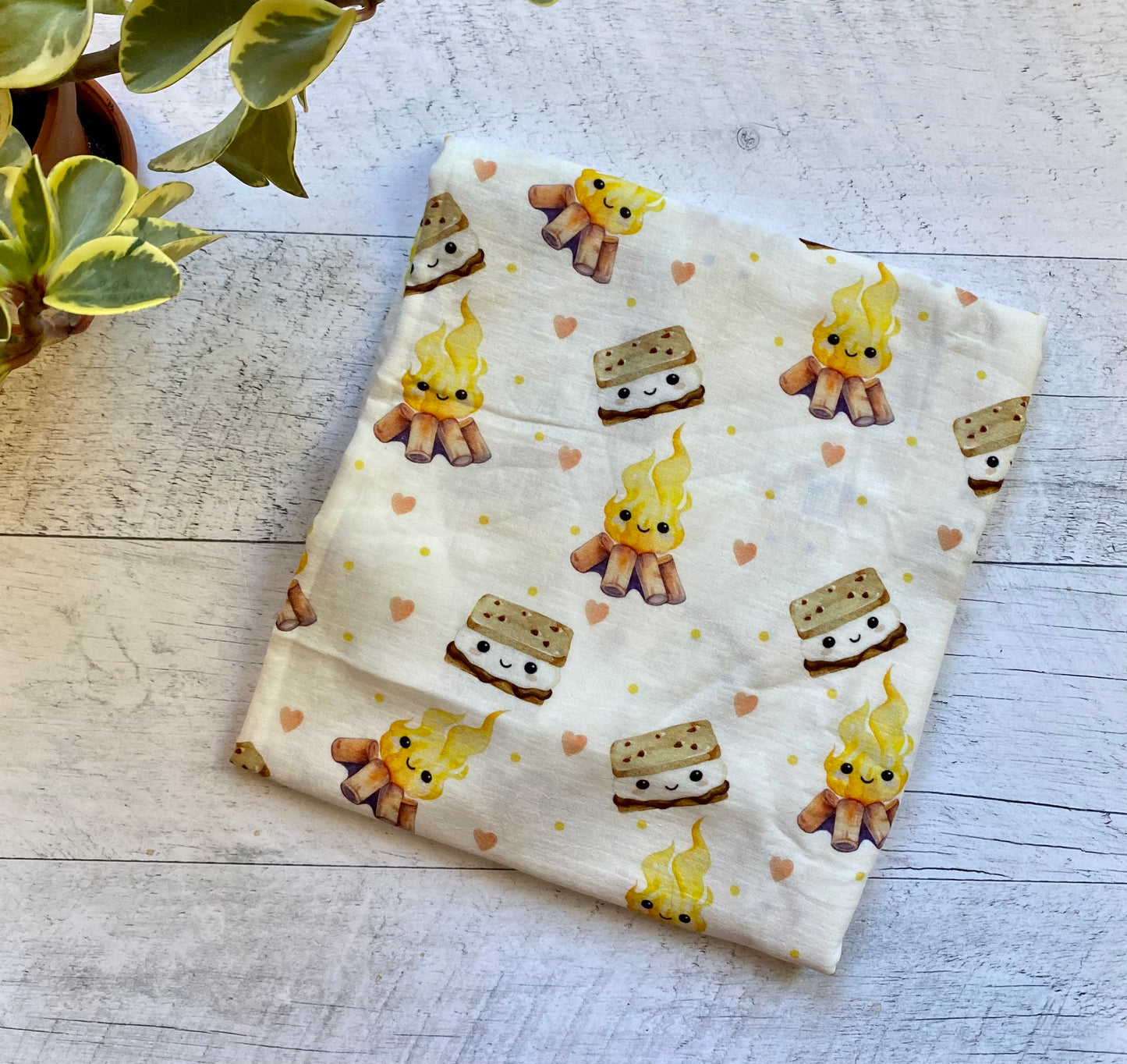 Feu et smores moyenne