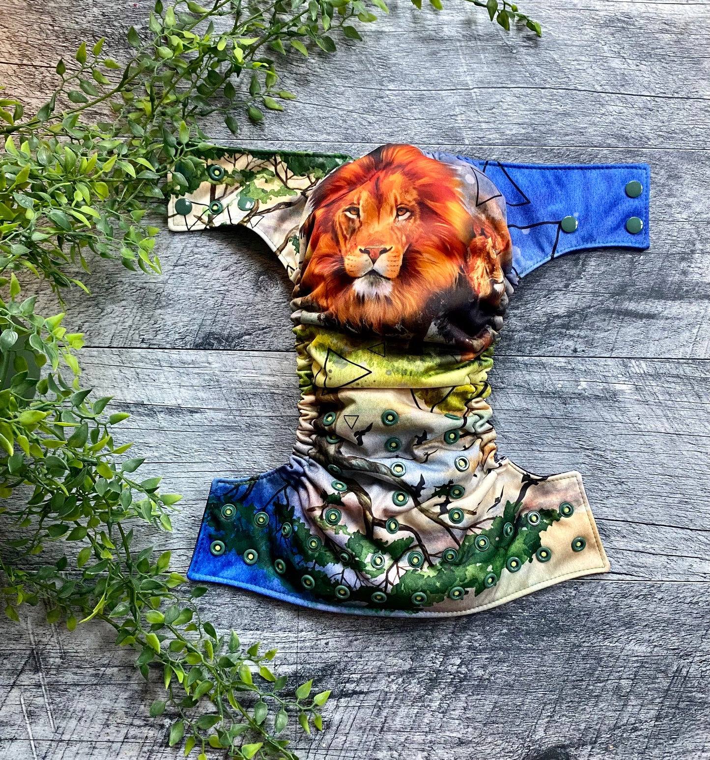 Roi de la savane PAC