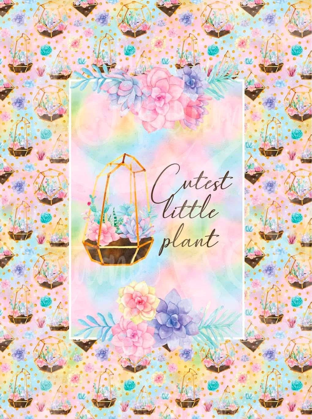 Cutest little plant