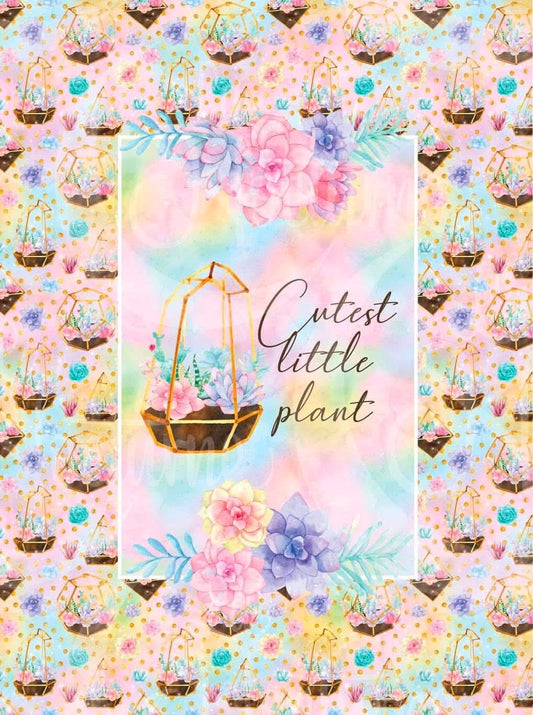 Cutest little plant